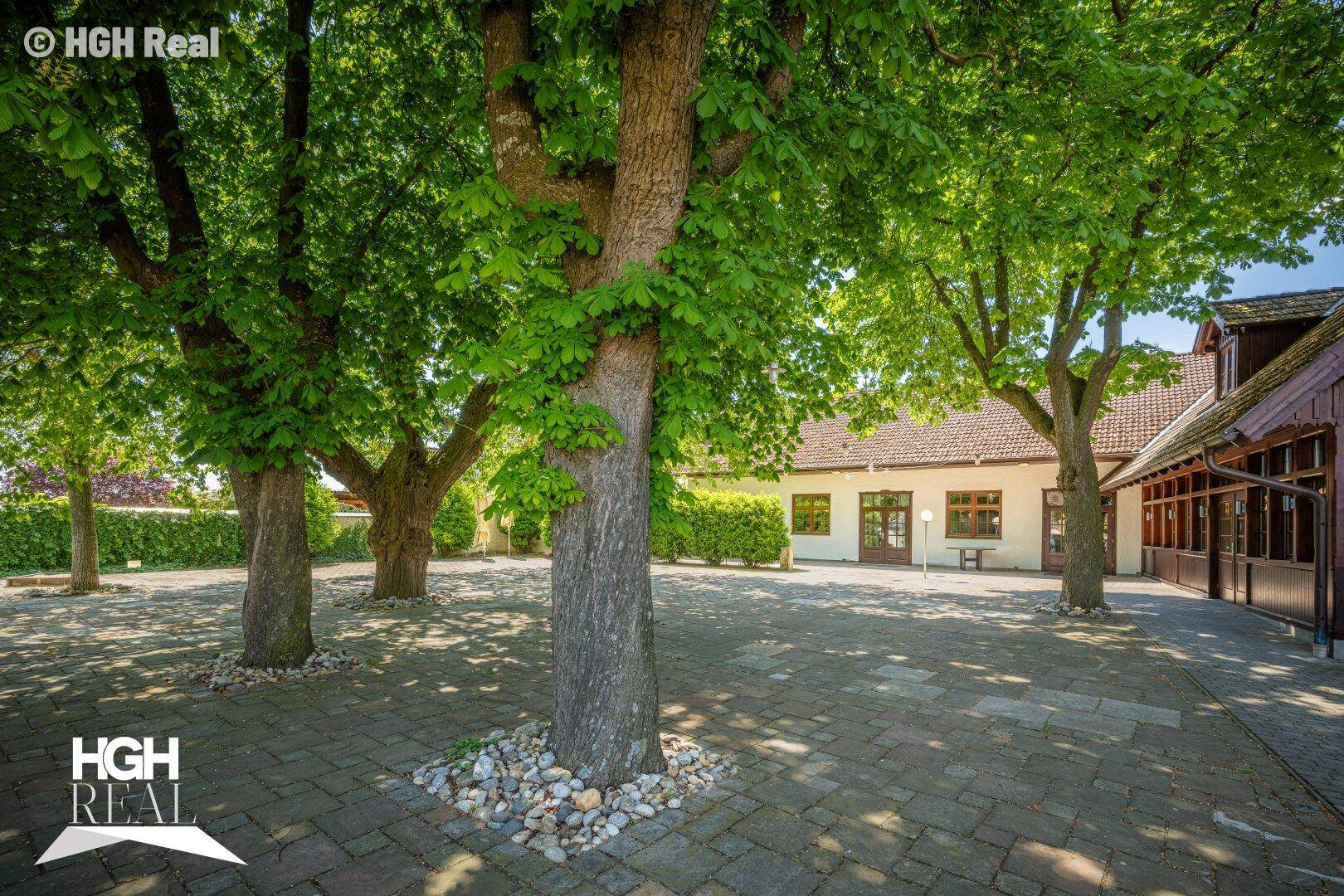 Großer gepflasterter Hof mit mehreren Bäumen, die Schatten spenden, und dem Gebäude im Hintergrund.