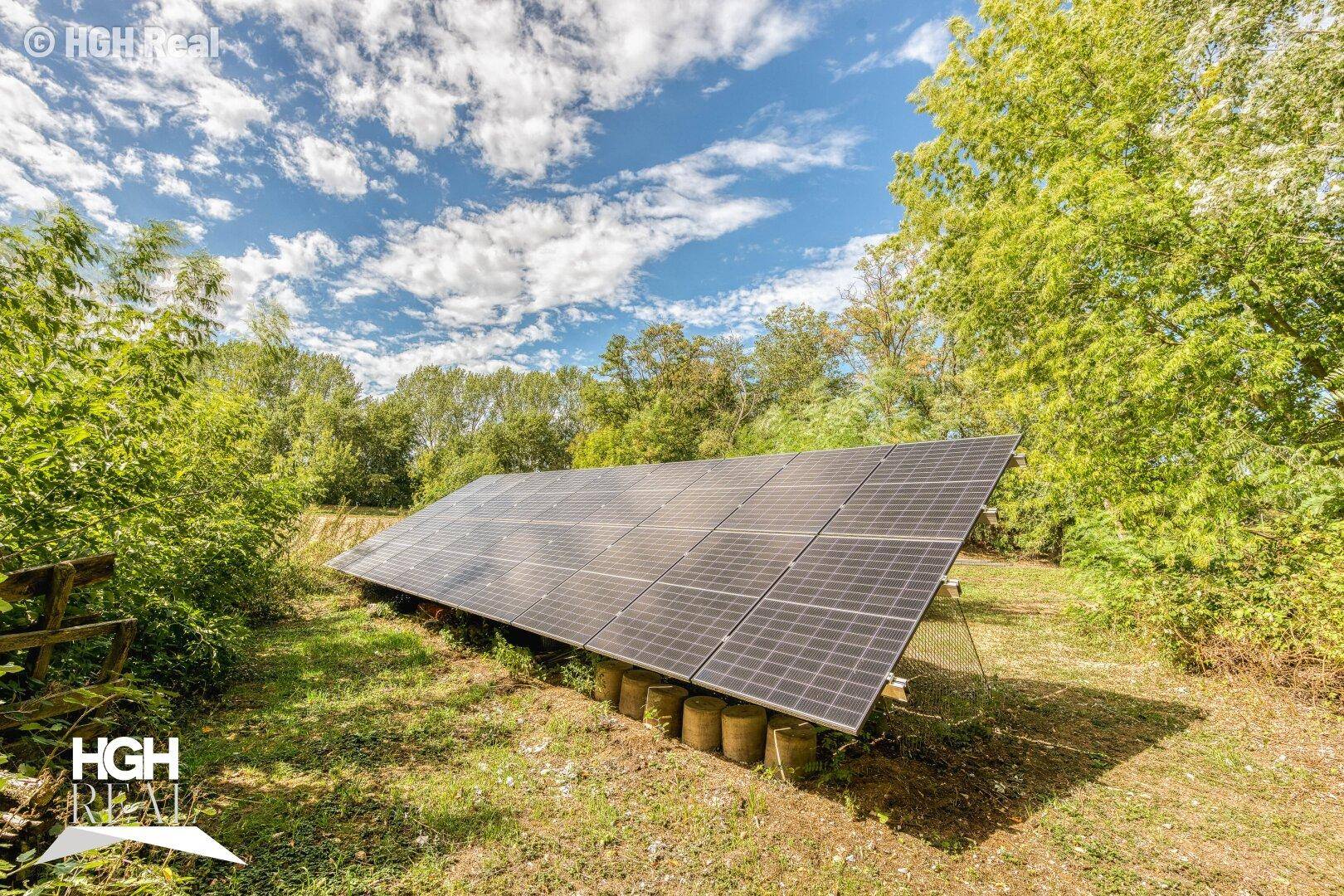 Photovoltaikanlage auf einer Wiese, umgeben von Bäumen unter blauem Himmel.