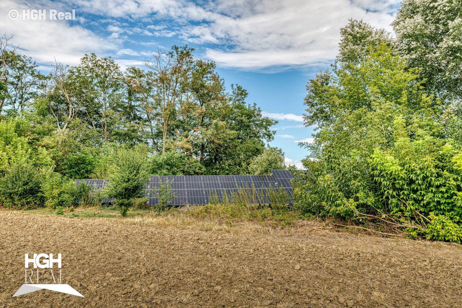 Reihen von Solarmodulen in einem Feld, umgeben von Bäumen und Natur unter blauem Himmel.