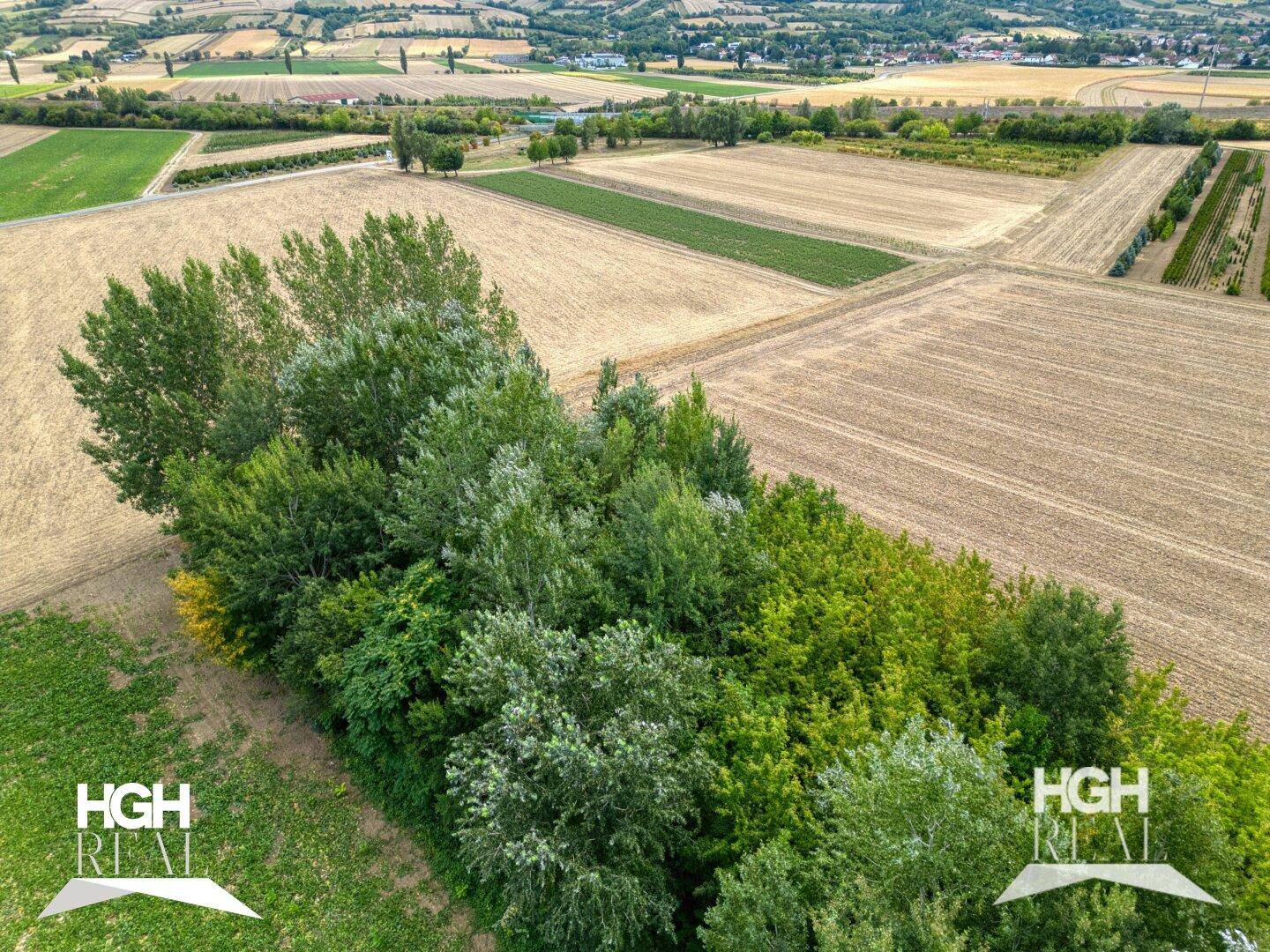 Weitläufige Felder und Baumreihen aus der Vogelperspektive, die die ländliche Landschaft zeigen.