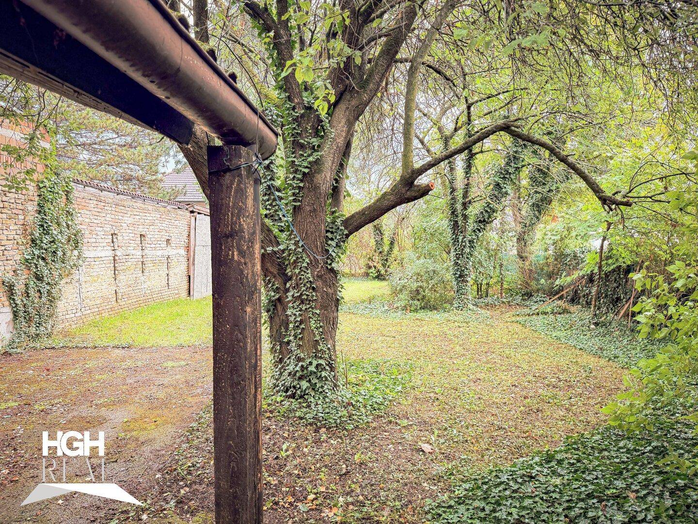 Blick von einer Holzkonstruktion in den grünen Garten mit alten Bäumen und einer Backsteinmauer.