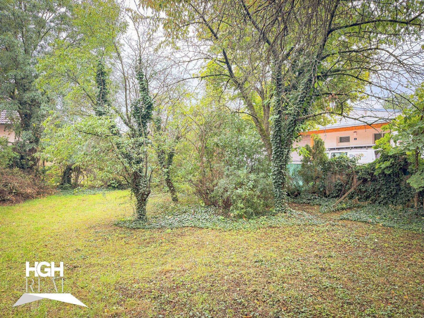 Weitläufiger Gartenbereich mit vielen Bäumen und Sträuchern, der viel Privatsphäre bietet.