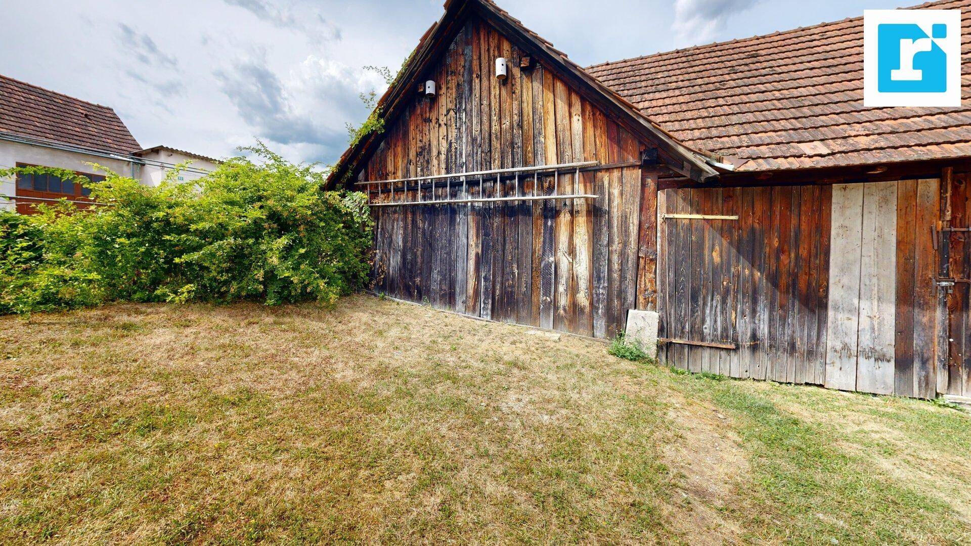 Alter Holzschuppen mit Leiter an der Fassade und trockenem Gras im Vordergrund, umgeben von Natur.