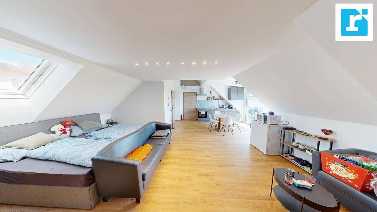 Geräumige Dachgeschosswohnung mit offenem Wohn-, Ess- und Küchenbereich, hell durch Dachfenster.