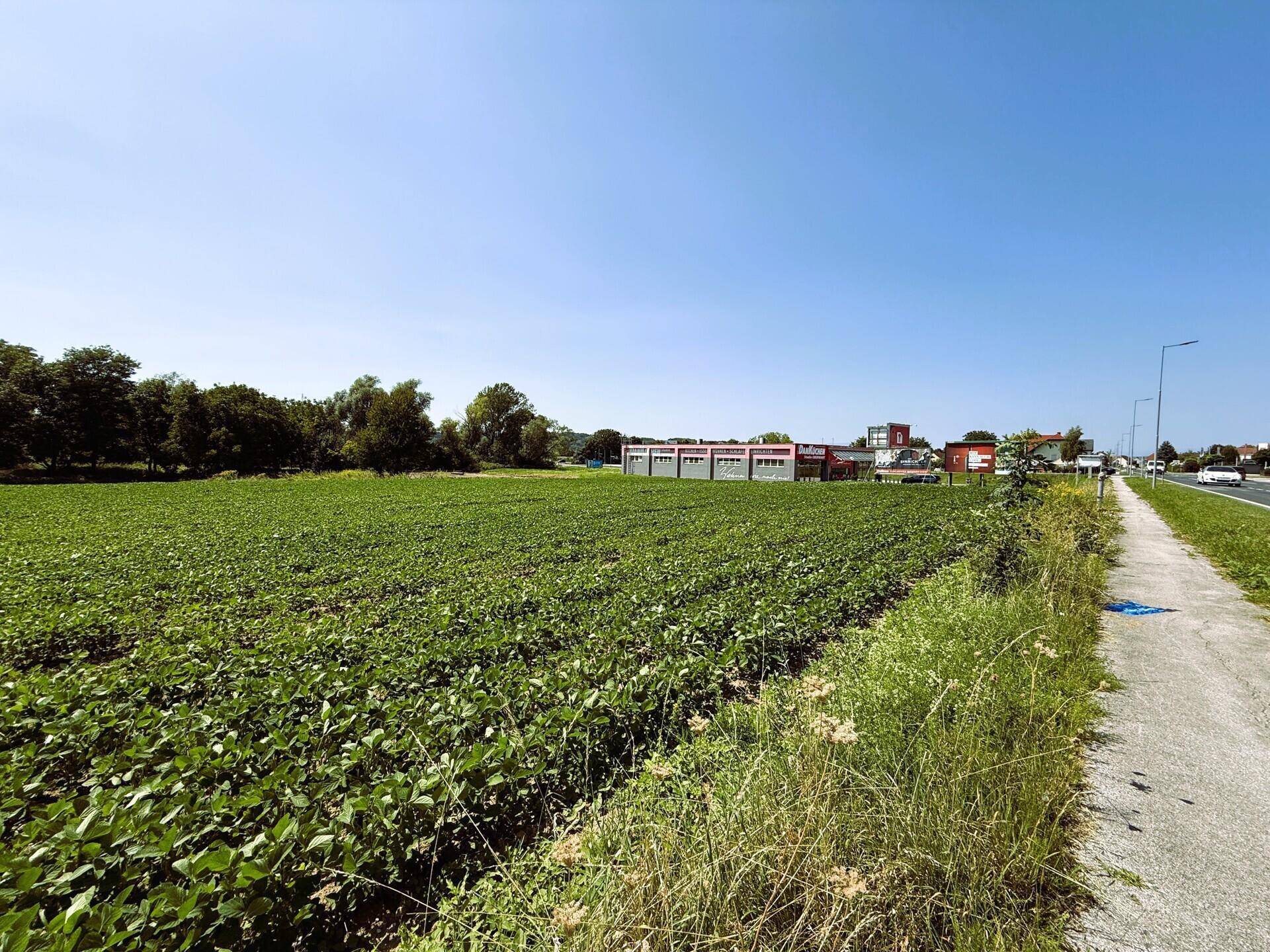 Ausgedehntes grünes Feld neben einer Straße, mit weiteren Gebäuden und Bäumen in der Ferne.