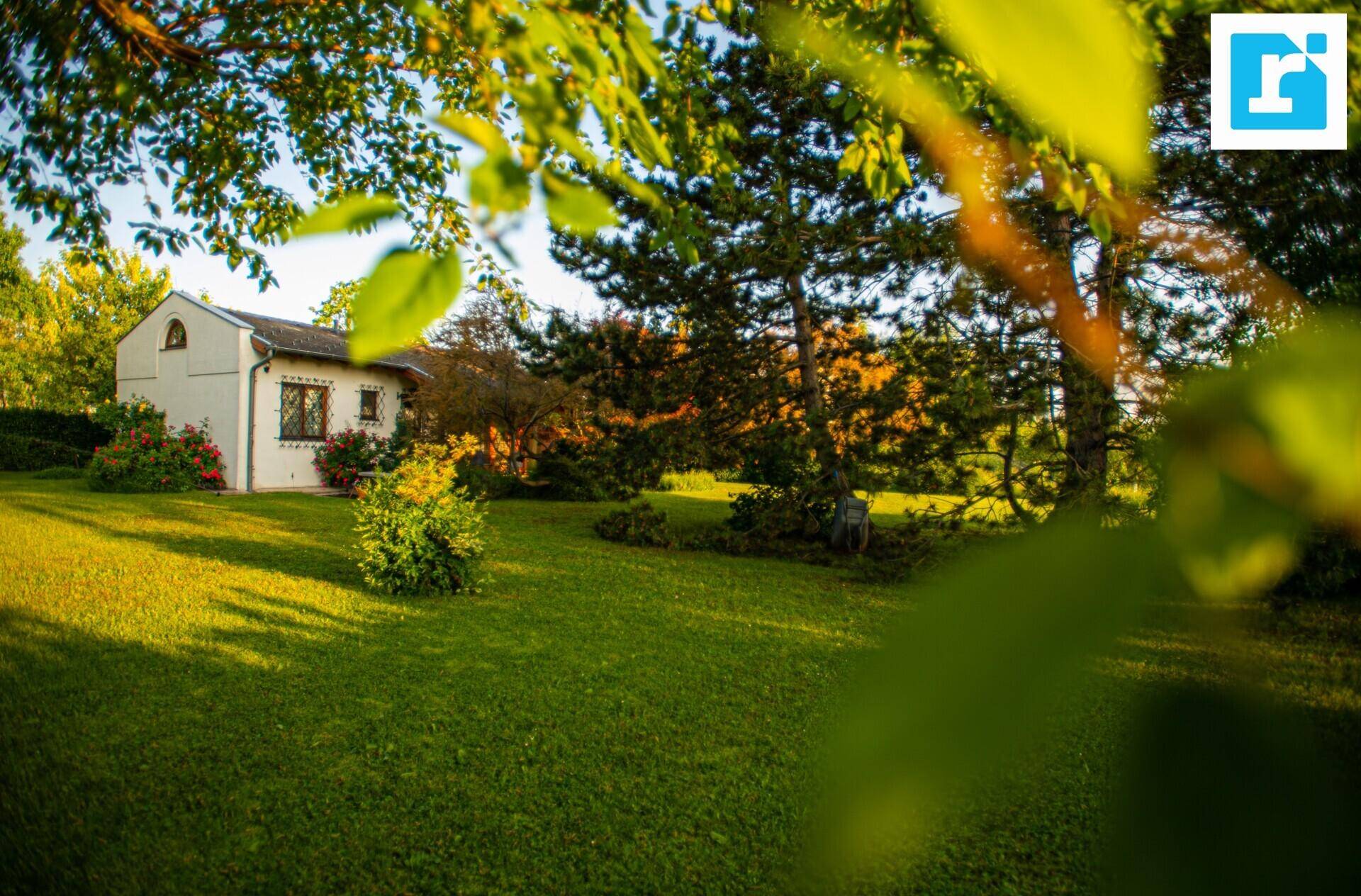 Weitläufiger grüner Garten mit einem kleinen Haus im Hintergrund, umgeben von Bäumen und viel Grün.
