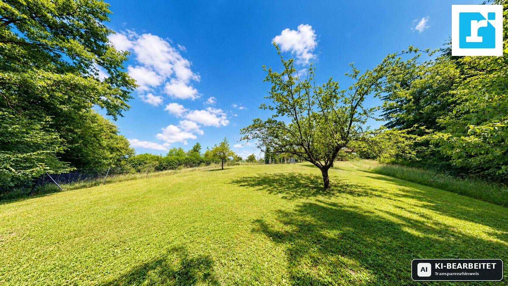 Hügelige Grünfläche mit einzelnen Bäumen und weitem Blick in die Natur.