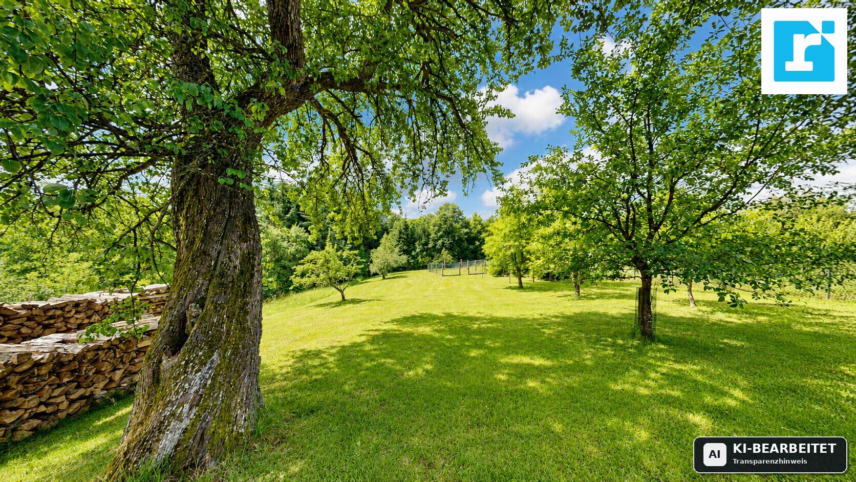 Weitläufige Grünfläche mit alten Bäumen und Holzstapel am Rand.