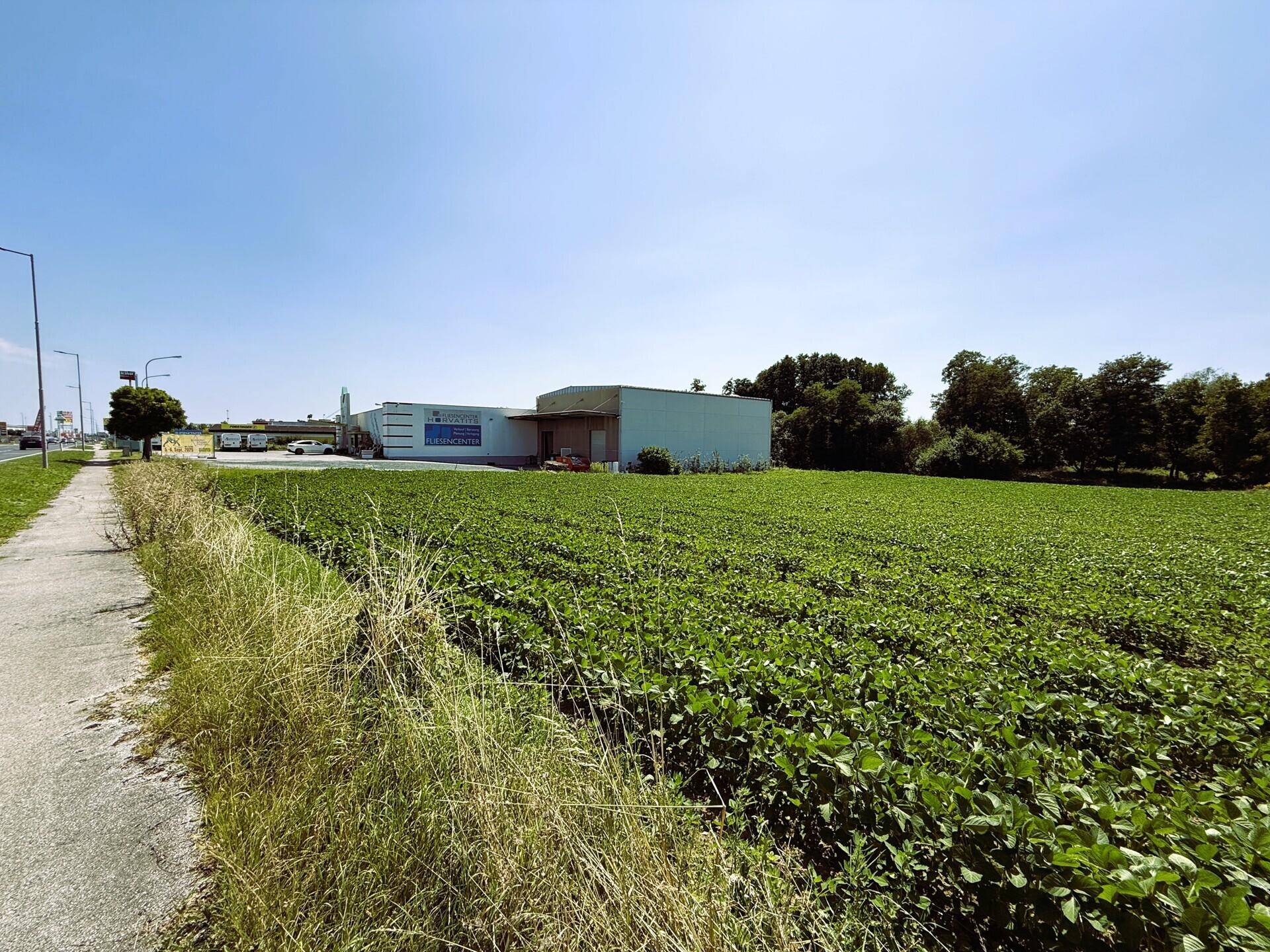 Blick über ein grünes Feld mit einer Straße und Gebäuden am Horizont unter klarem Himmel.