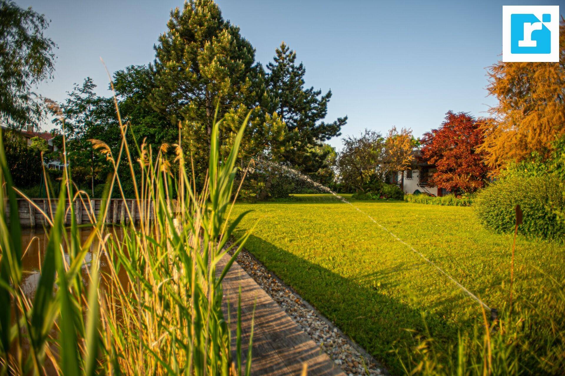 Sonnige Gartenlandschaft mit einem Teich, grüner Wiese und einem Bewässerungssystem im Vordergrund.