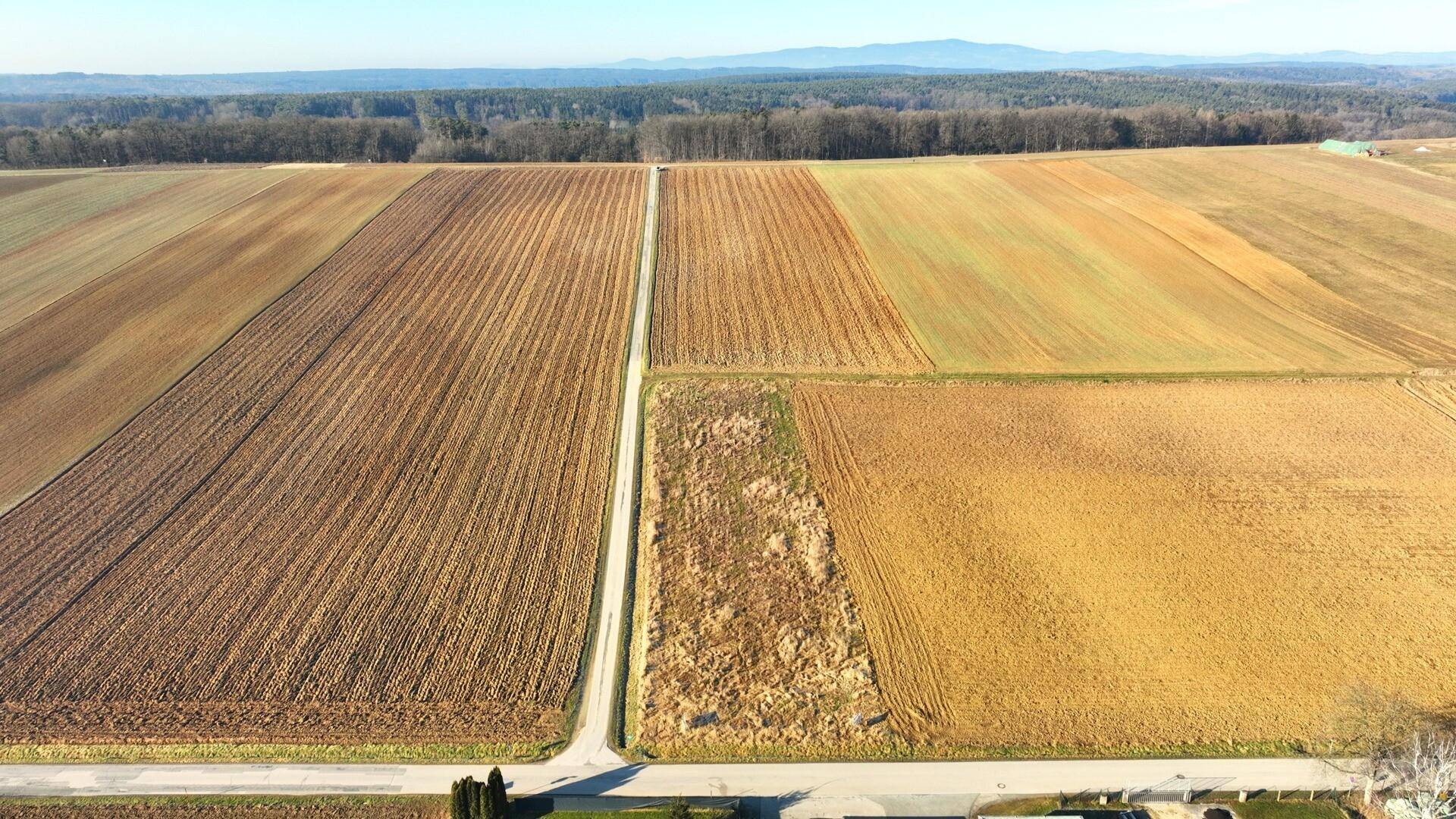 Weitläufige Luftaufnahme von landwirtschaftlichen Feldern mit einem Feldweg und einem Wald am Horizont.