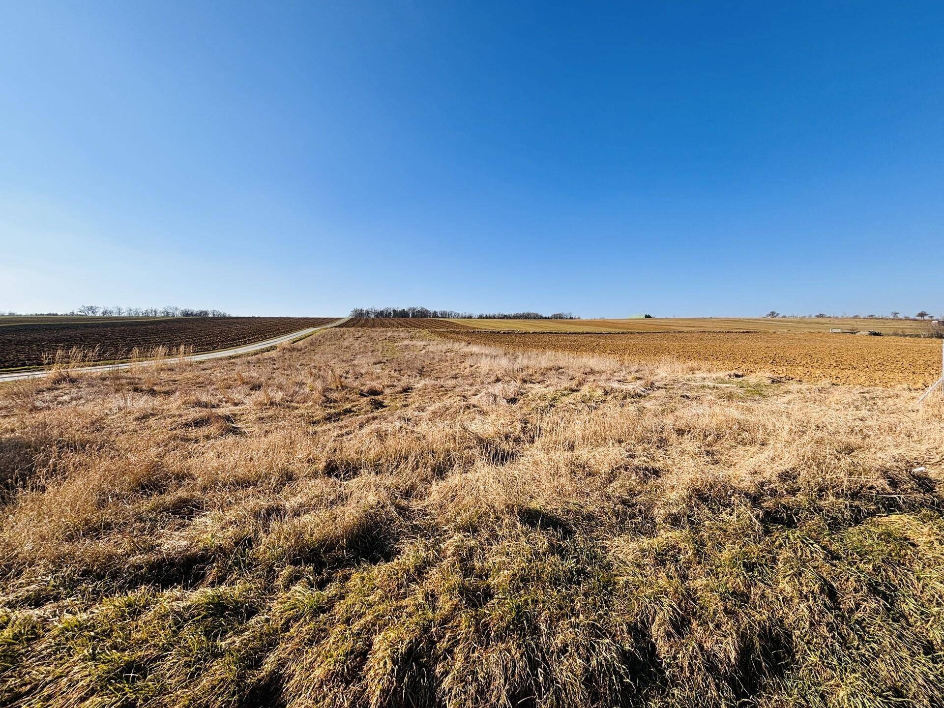 Weitläufiges Feld mit trockenem Gras, das sich zu einem Feldweg und weiteren Feldern in der Ferne erstreckt.
