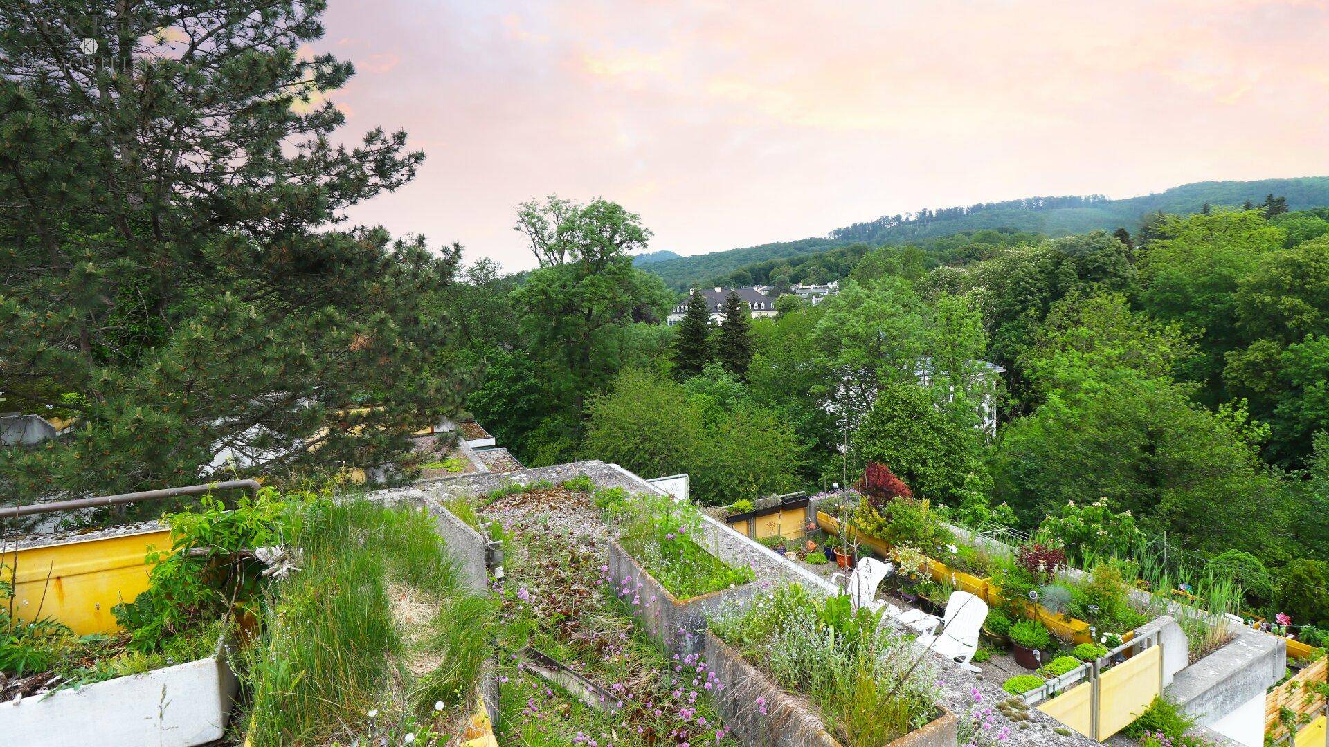 Ausblick von der Terrasse