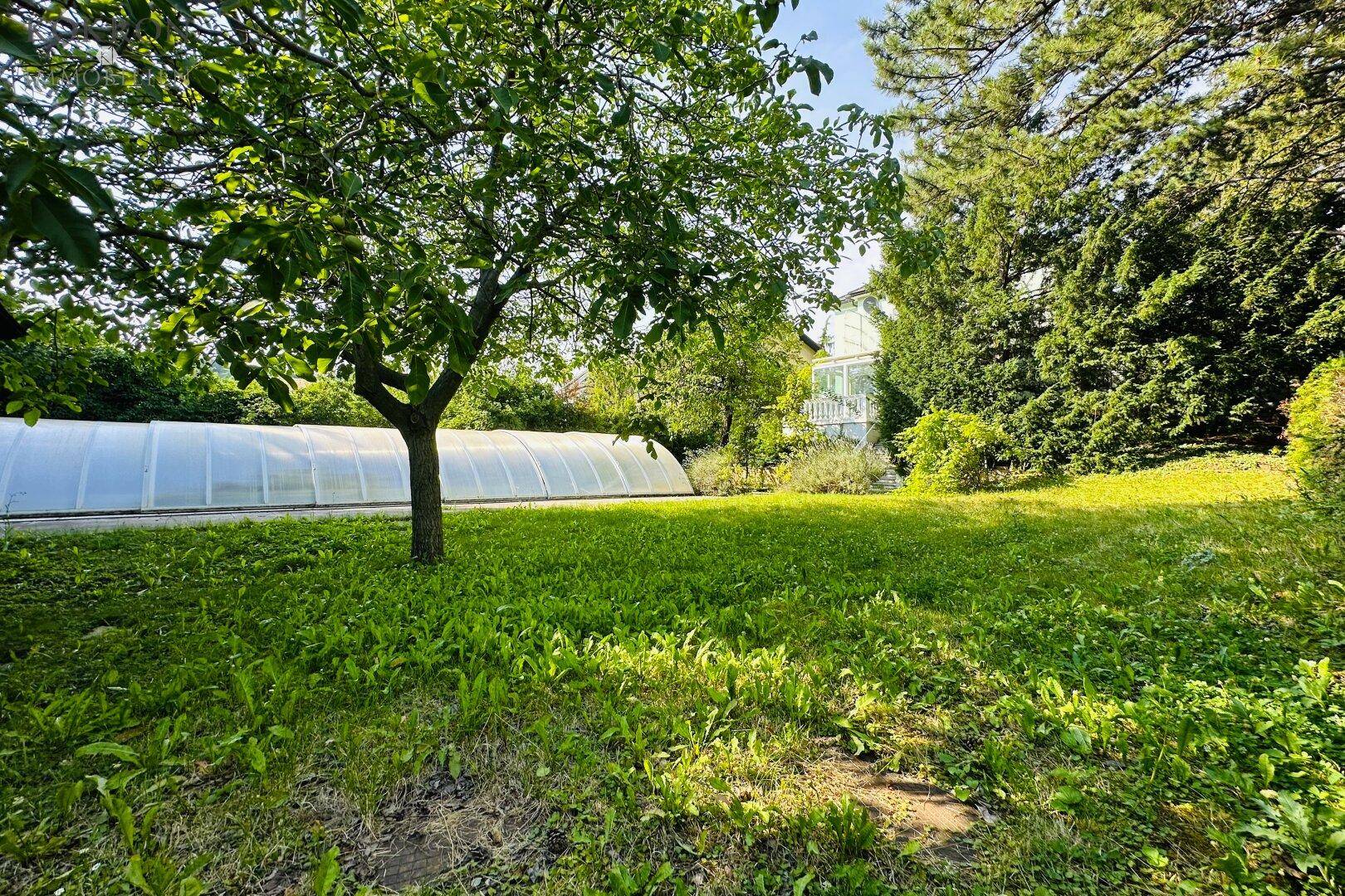 Großer, gepflegter Garten mit Rasenfläche, Obstbaum und überdachtem Poolbereich.