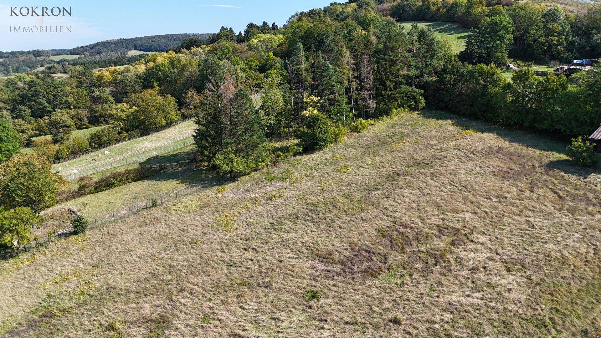 Blick Richtung Wienerwald