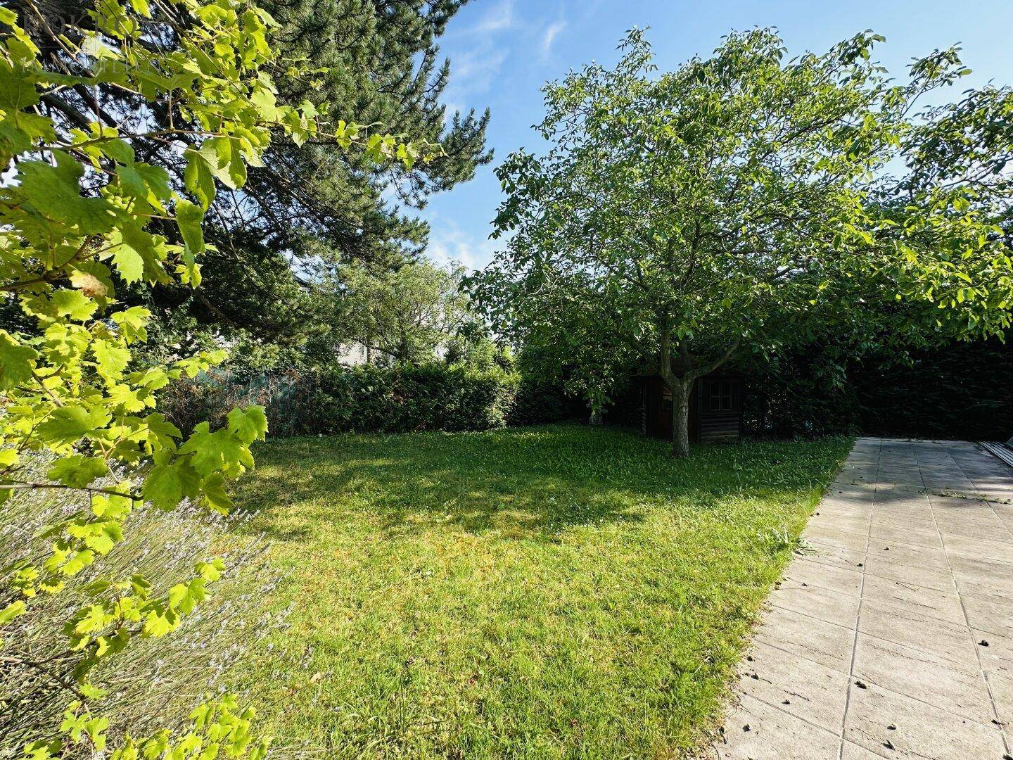 Grüner Gartenbereich mit Rasenfläche, Bäumen und einem kleinen Gartenhaus im Hintergrund.