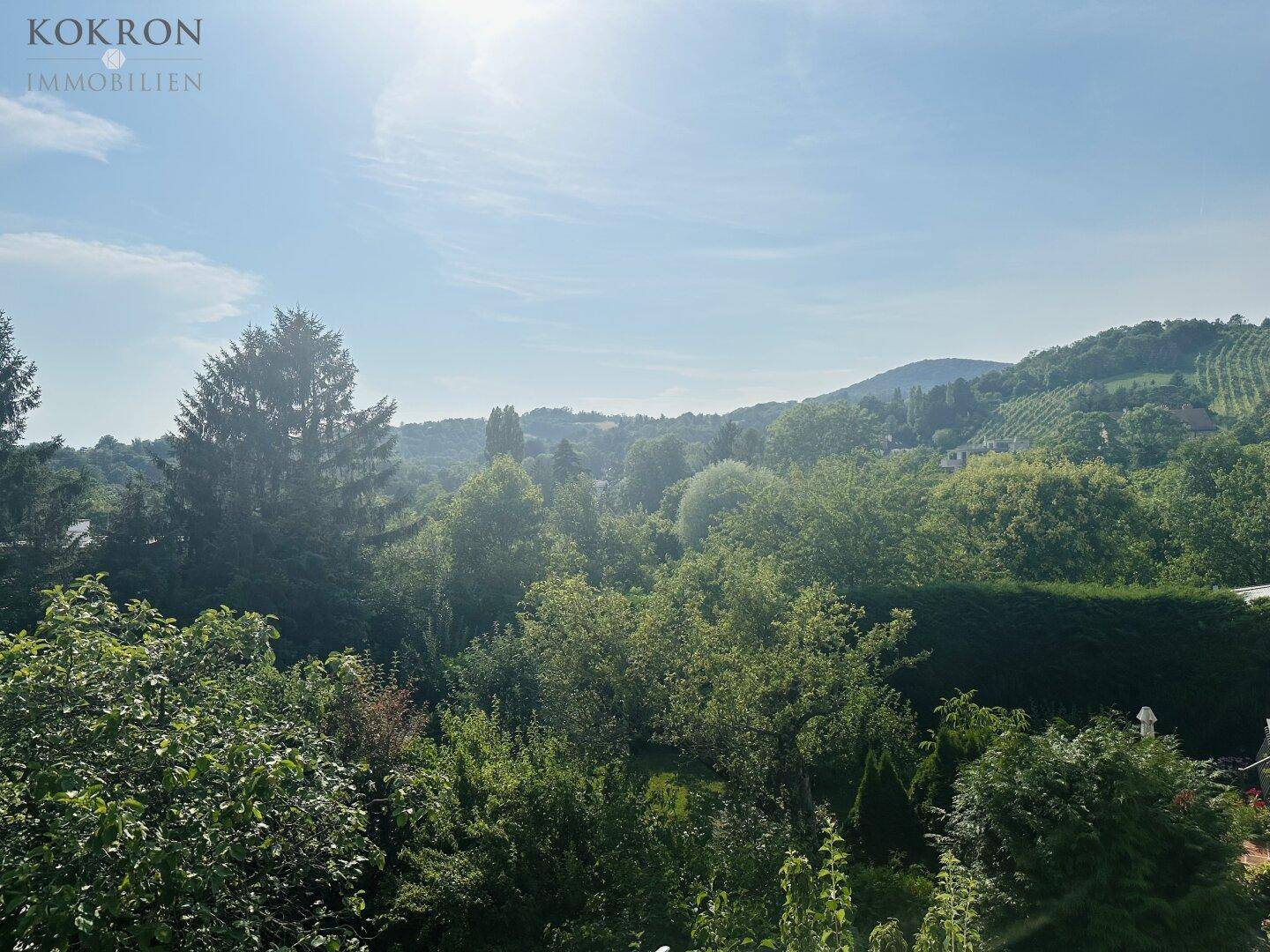 Weitläufiger Blick ins Grüne mit dichten Bäumen und Hecken unter hellem Himmel.