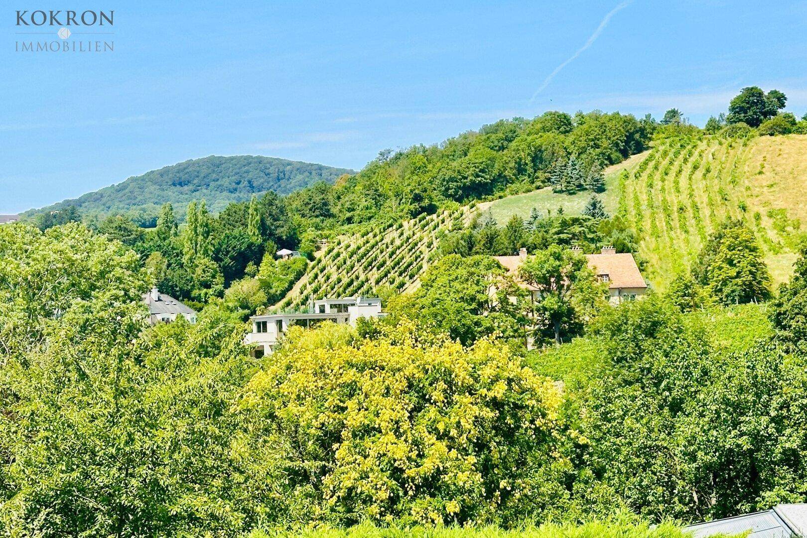 Panoramablick über grüne Hügel und Weinberge unter strahlend blauem Himmel.