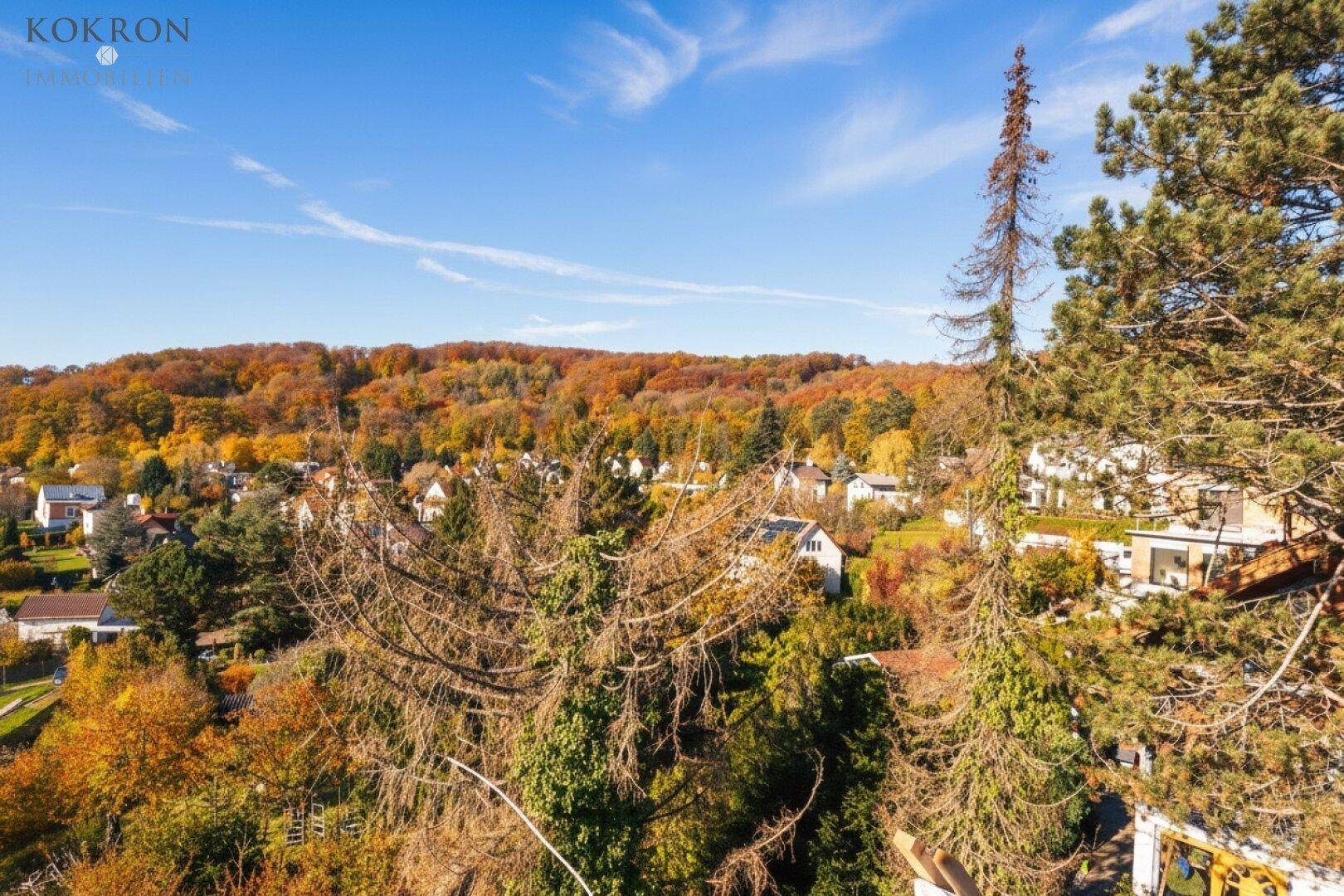 Weitläufiger Blick über eine herbstliche Wohngegend mit bewaldeten Hügeln unter blauem Himmel.
