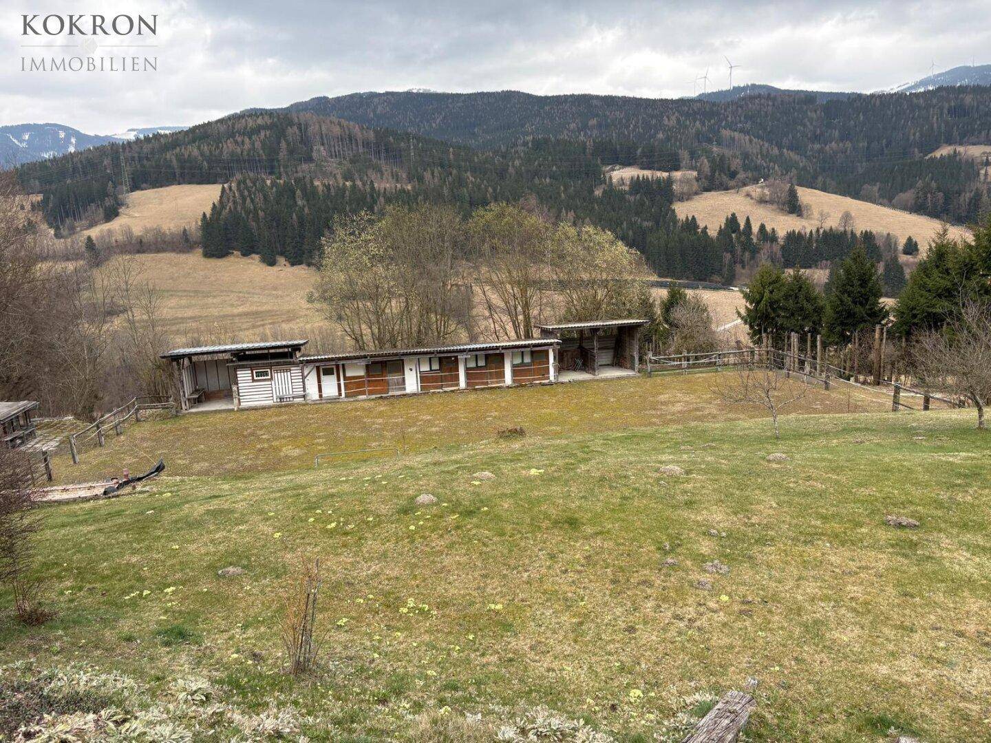 Haus – Spital am Semmering - Ansicht 2