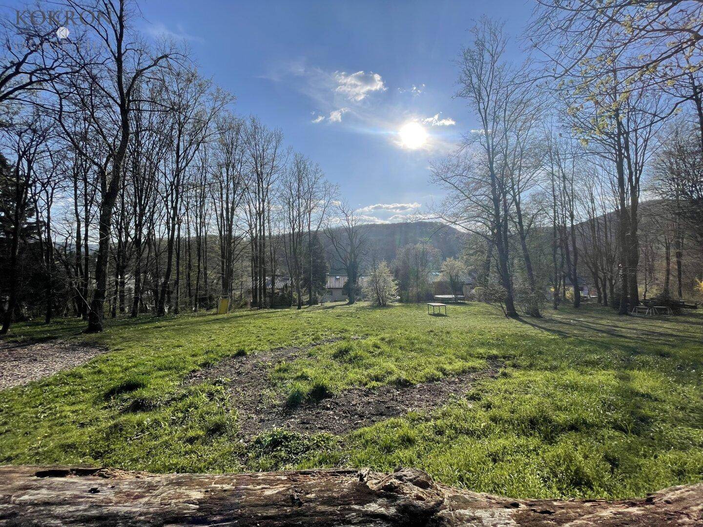 Weitläufige Grünfläche mit Bäumen und sonnigem Himmel, ideal für Erholung.