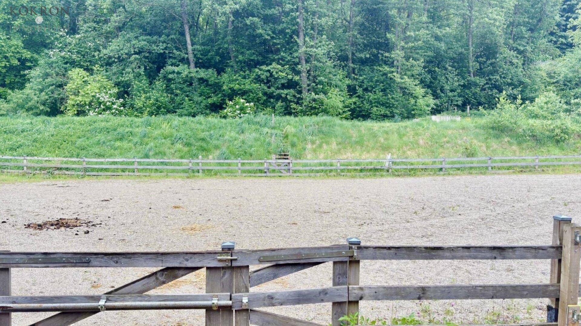 Sandiger Reitplatz oder Paddock, umzäunt von einem Holzzaun, mit Wald im Hintergrund.