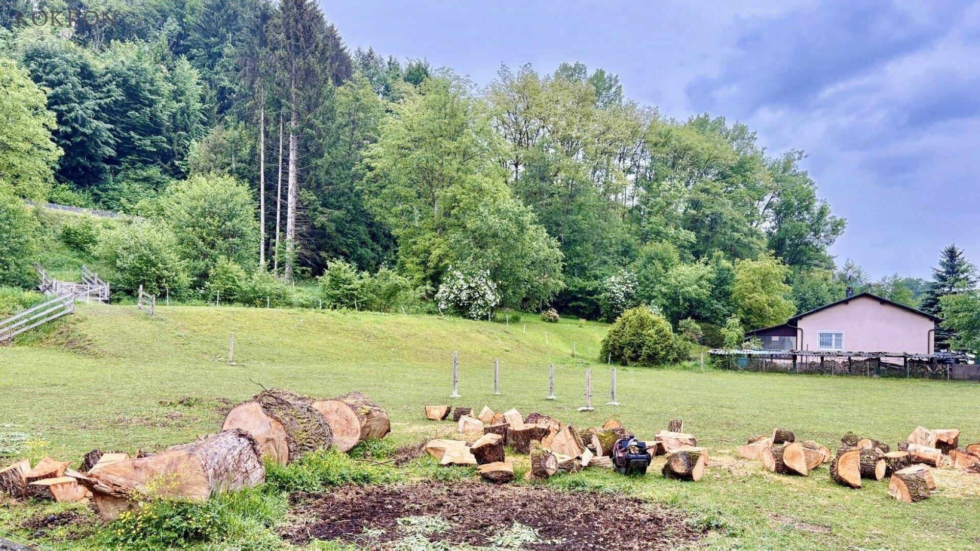 Weitläufige Grünfläche mit gefällten Baumstämmen und bewaldeten Hügeln im Hintergrund.