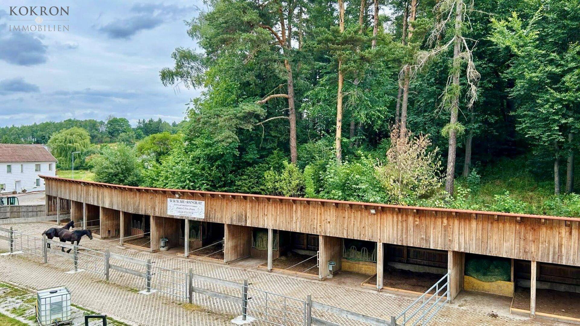 Holzstallungen mit Pferden und angrenzendem Waldgebiet, Teil eines ländlichen Anwesens.