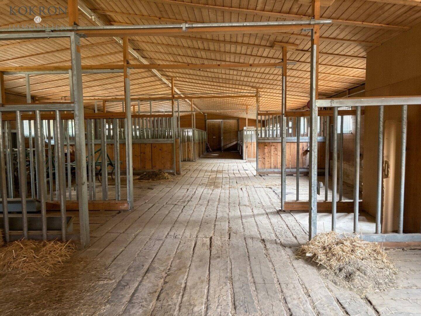 Innenansicht eines Pferdestalls mit Holzboxen, Holzboden und Heu auf dem Boden, gut beleuchtet.