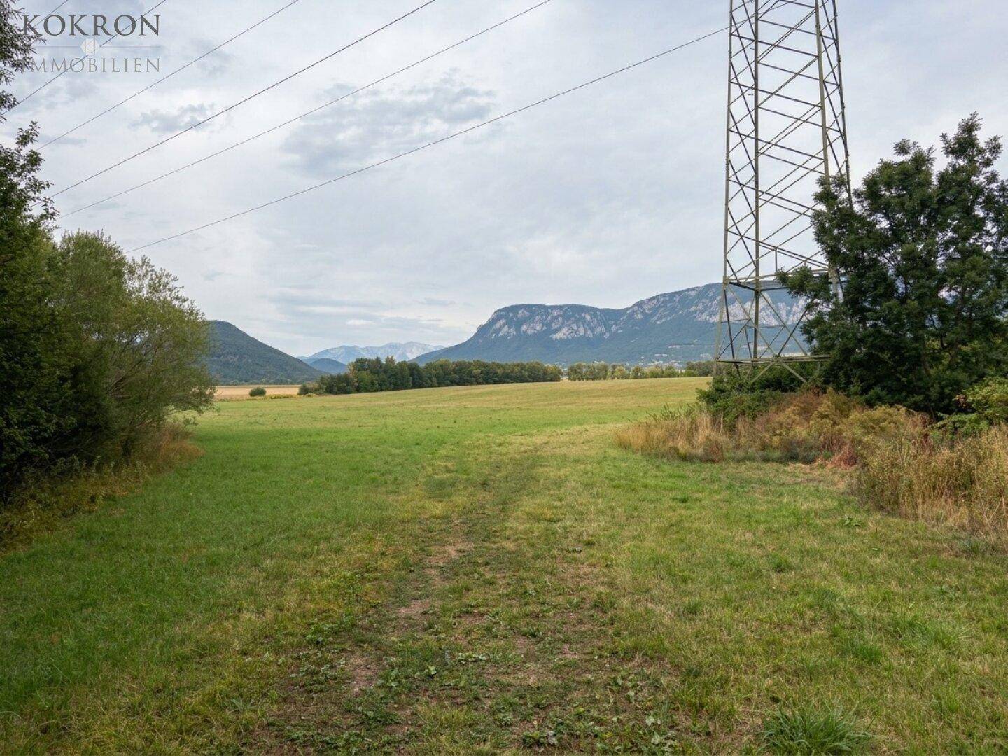 Weite grüne Felder mit Blick auf die majestätischen Berge unter einem bewölkten Himmel und Strommasten.