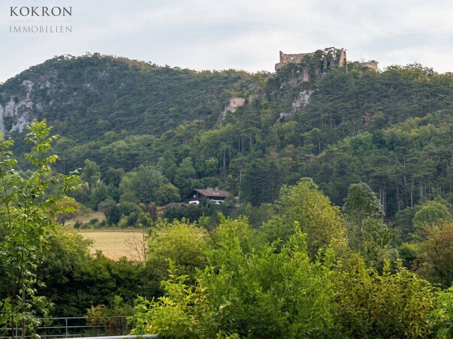 Malerischer Blick auf einen bewaldeten Berg mit Burgruine und einem versteckten Haus in der Natur.