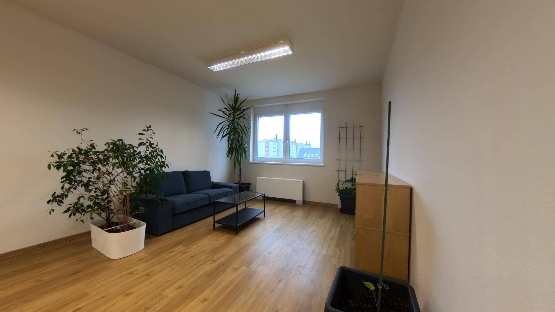 Gemütlicher Aufenthaltsraum mit Sofa, Pflanzen und großem Fenster, ideal zum Entspannen.