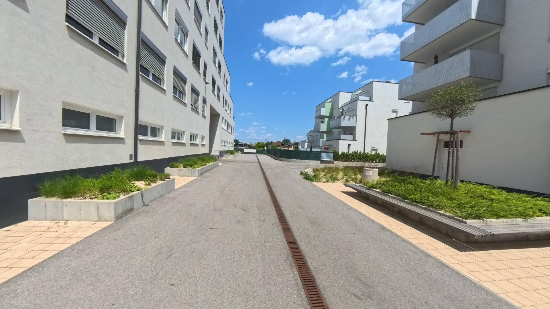 Slide 12