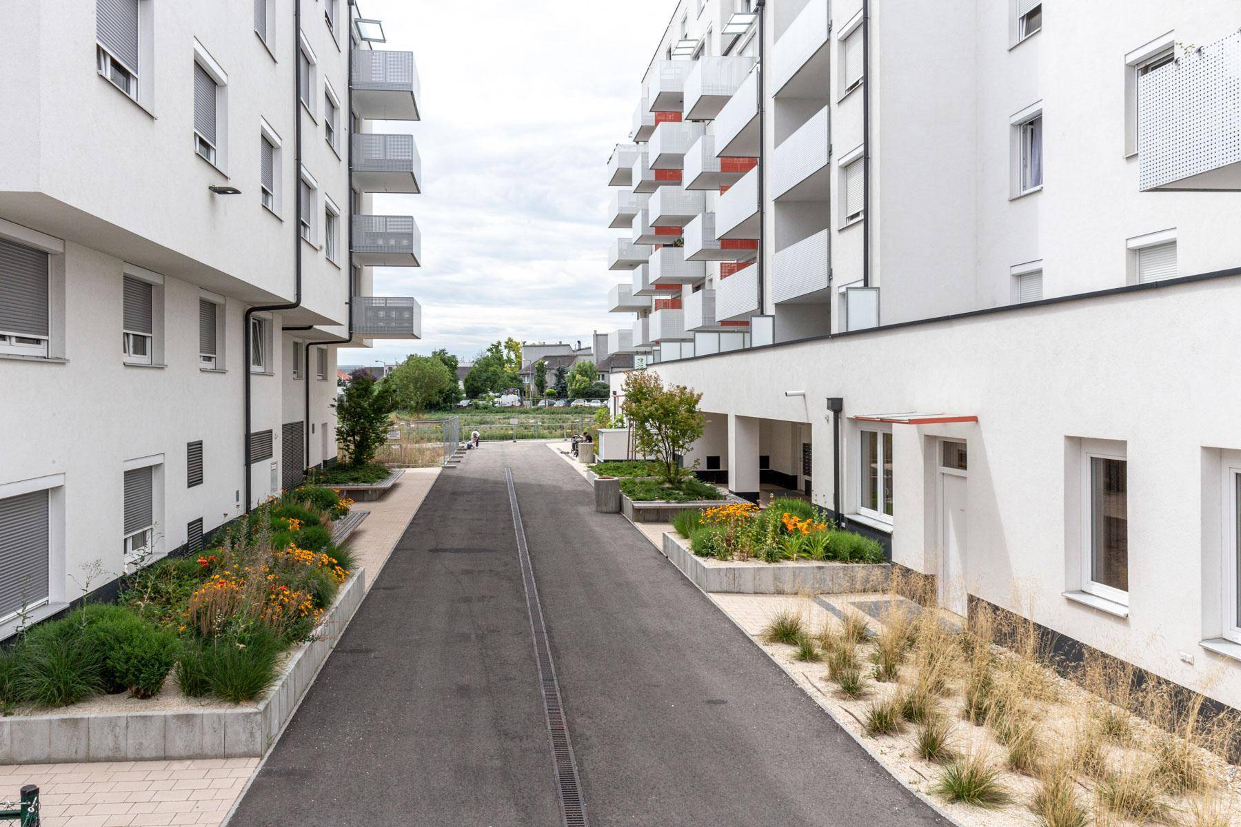 Angelegte Außenbereiche zwischen modernen Wohngebäuden mit Gehwegen und Bepflanzung.
