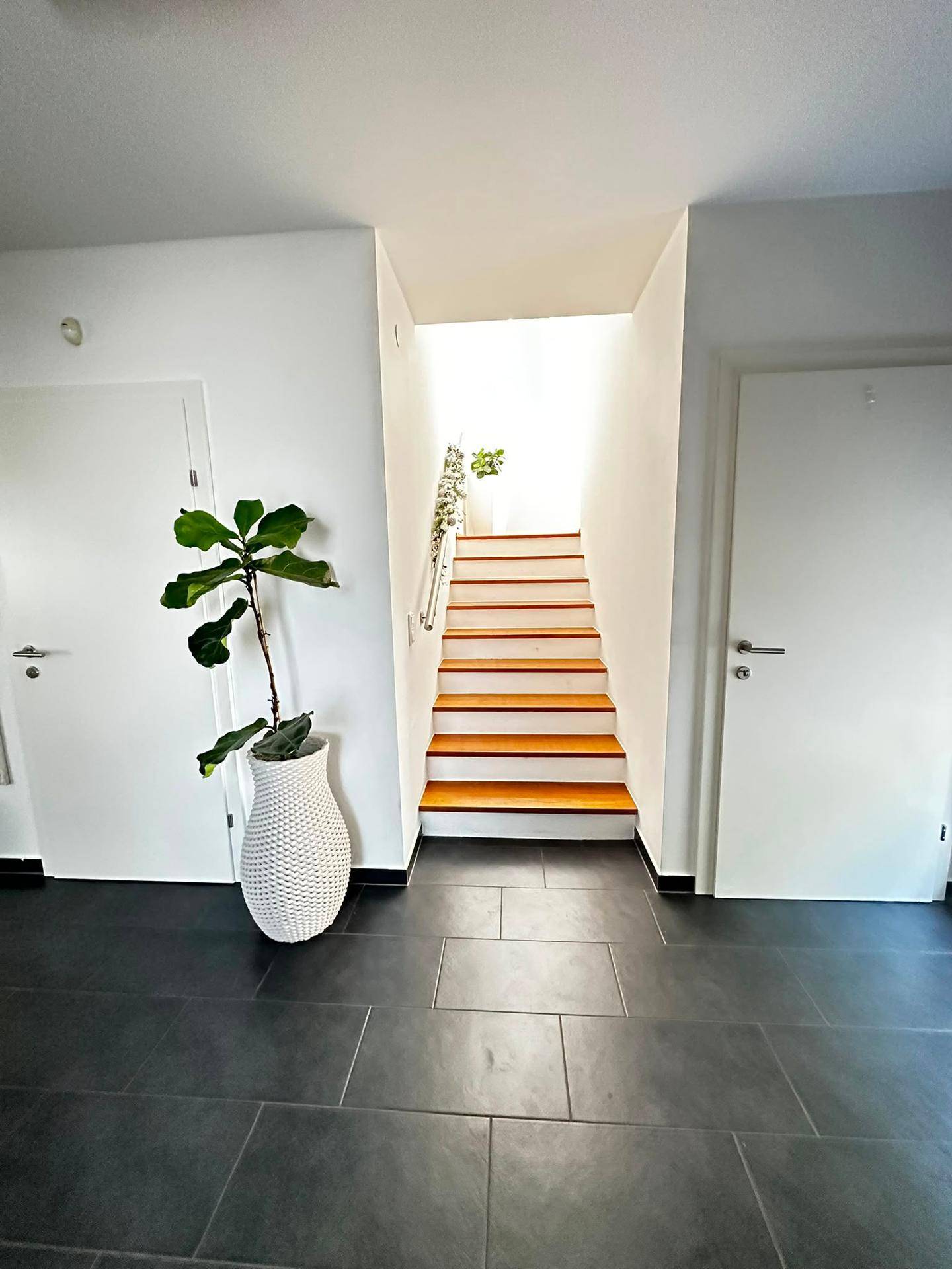 Geräumiger Flur mit dunklen Fliesen, weißer Wand und dekorativer Pflanze.