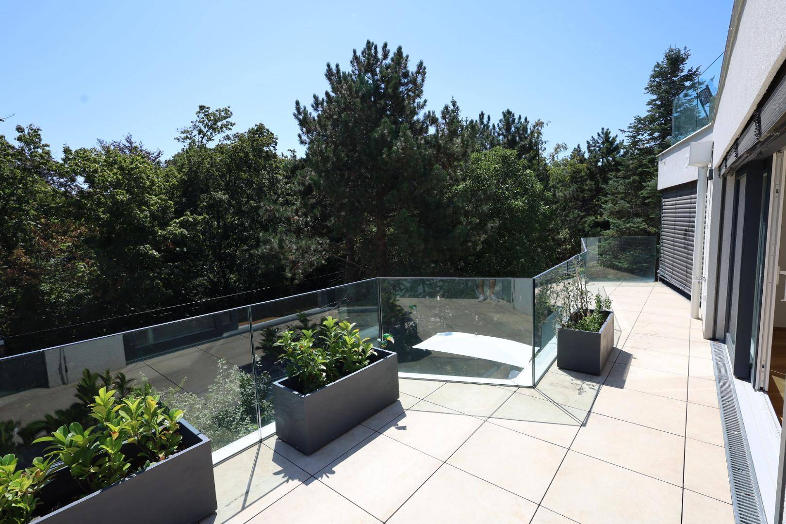 Weitläufige Terrasse mit modernem Glasgeländer und Blick auf die umliegende Baumlandschaft.