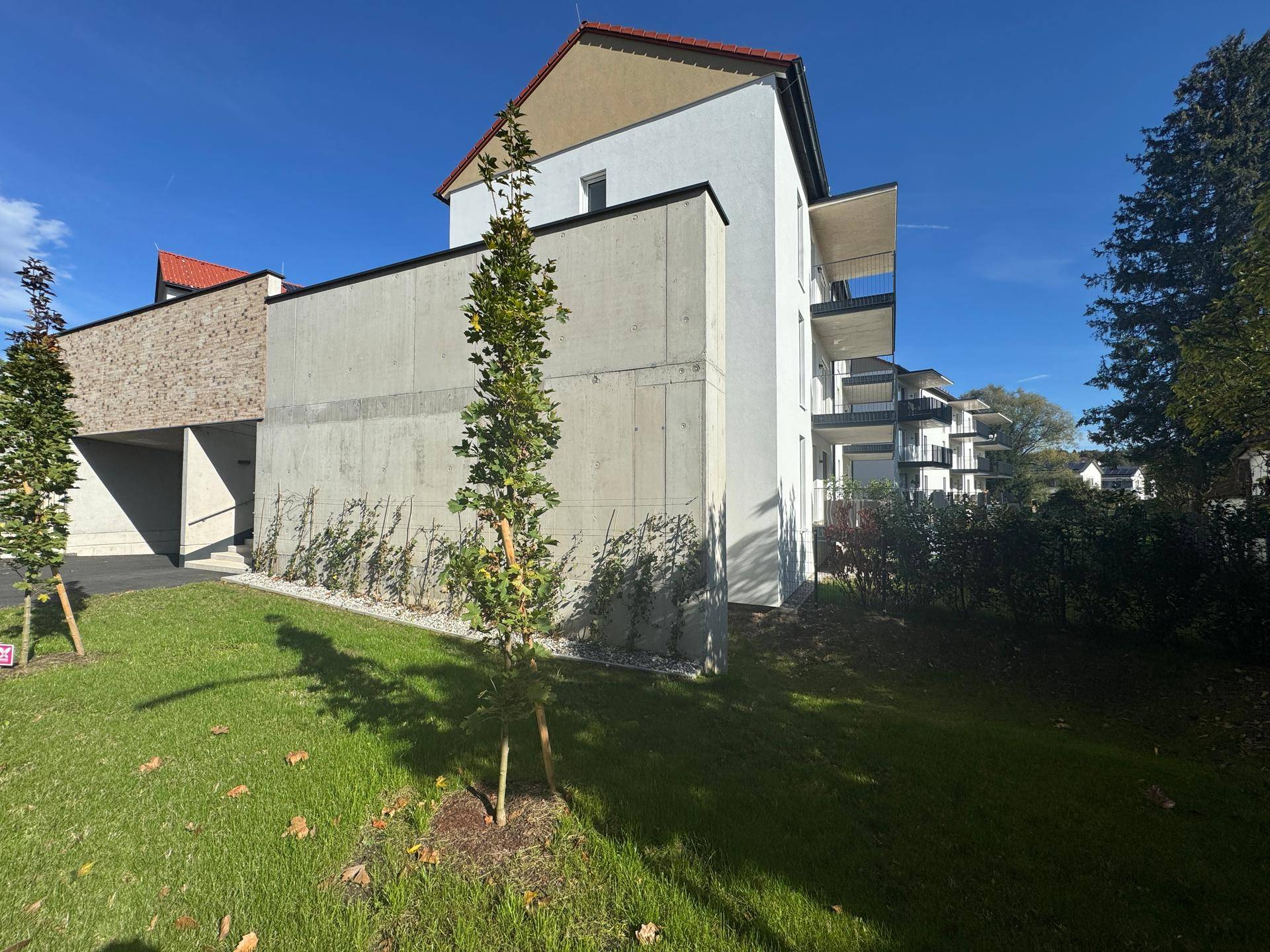 Moderne Gebäudefassade mit jungen Bäumen und gepflegter Rasenfläche.