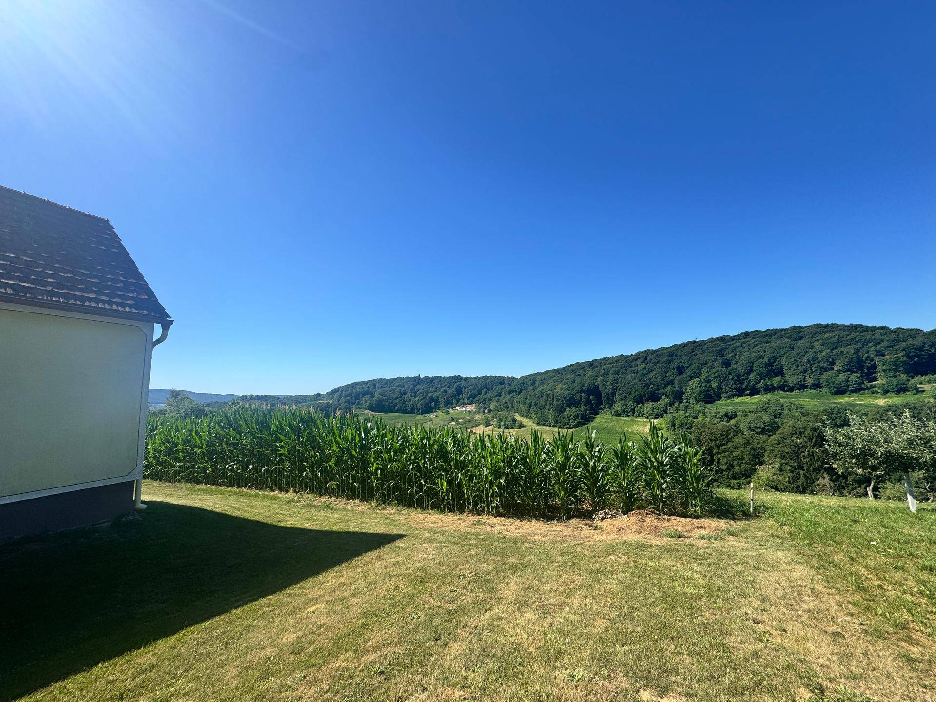Weitläufiger Blick auf grüne Hügel, Wälder und Maisfelder unter einem klaren blauen Himmel.