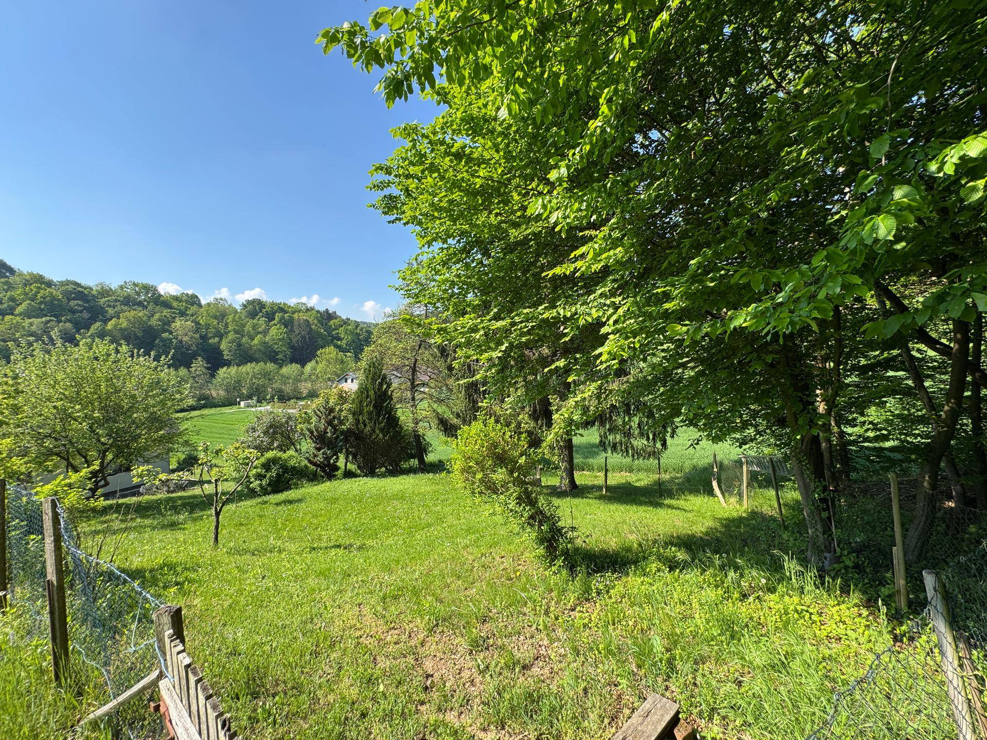 Sonnige Rasenfläche im Garten mit Bäumen und einem weiten Blick in die Natur.