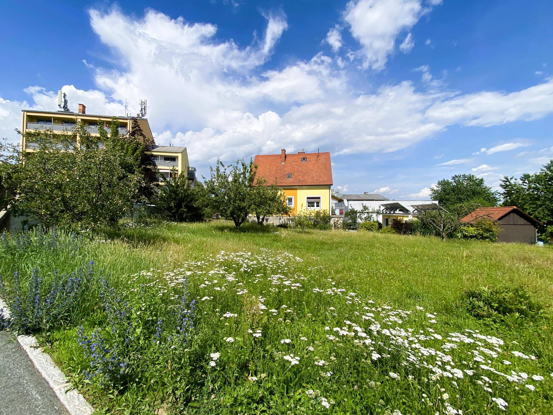 Grüne Wiese mit Wildblumen und verschiedenen Gebäuden im Hintergrund unter blauem Himmel.