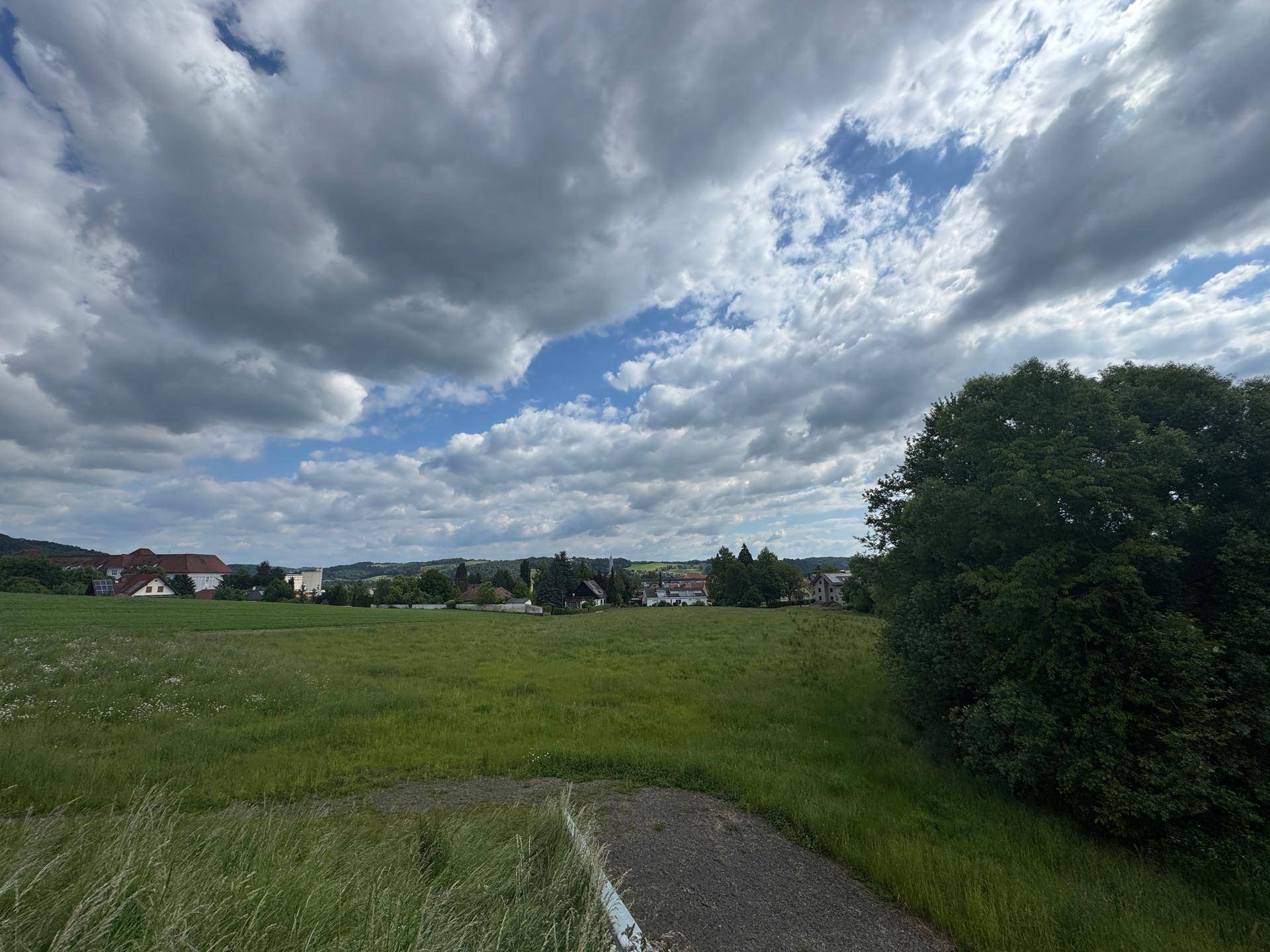 Weitläufige grüne Landschaft mit einem großen Baum und Häusern am Horizont unter Wolken.