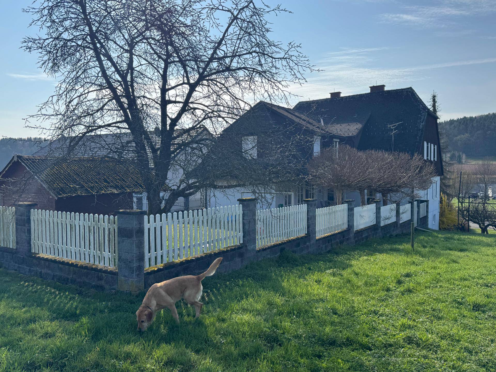 Haus in ländlicher Umgebung mit großem Garten, Zaun und einem Hund im Vordergrund.