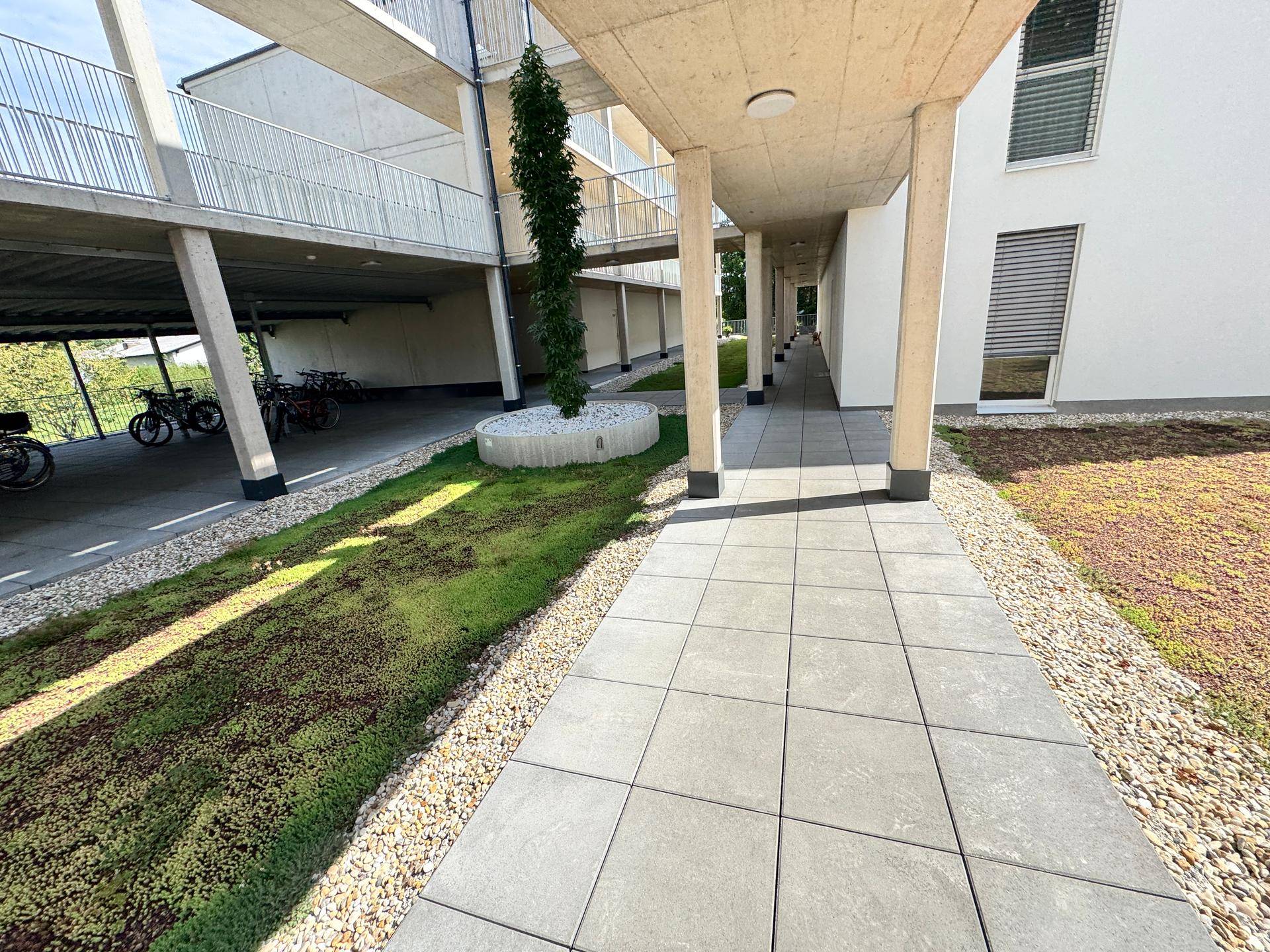 Gepflasterter Weg mit Grünflächen und einem Baum, der zu überdachten Parkplätzen führt.