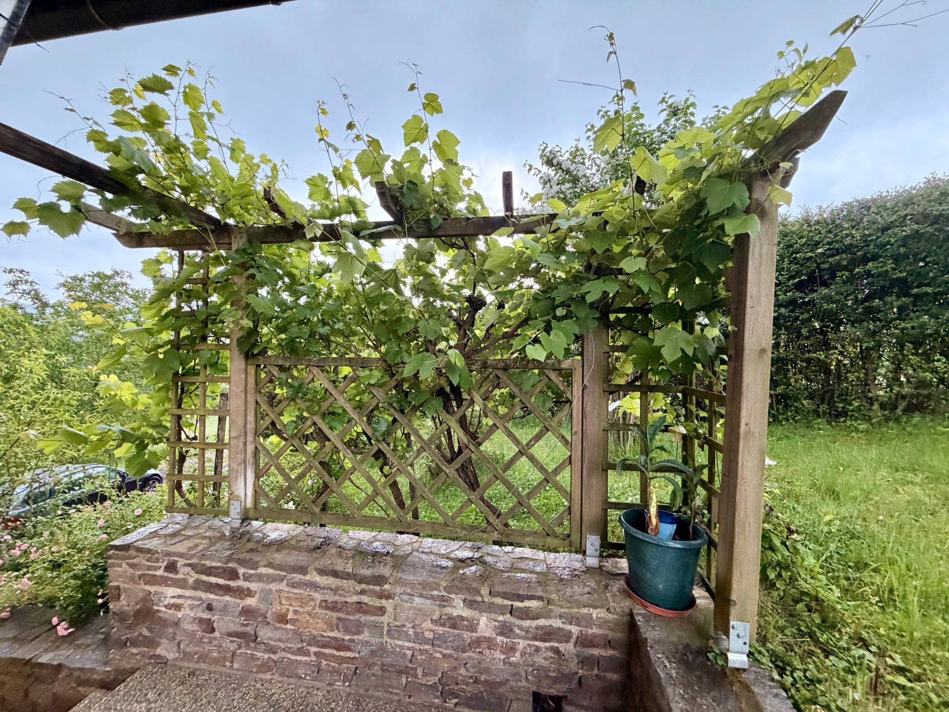 Gemütlicher Außenbereich mit bewachsener Holzpergola und Ziegelmauer, ideal zum Entspannen.