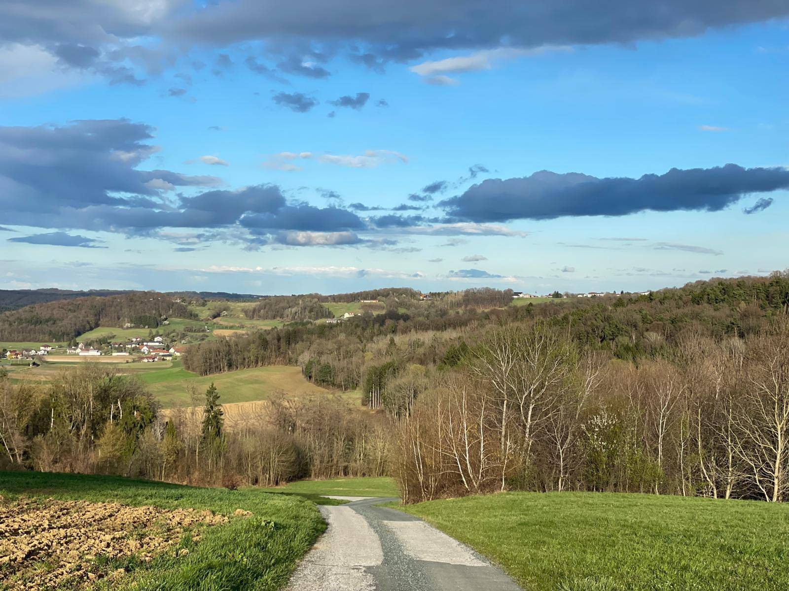 Landstraße führt durch eine ländliche Landschaft mit Feldern, Bäumen und einem Dorf in der Ferne.