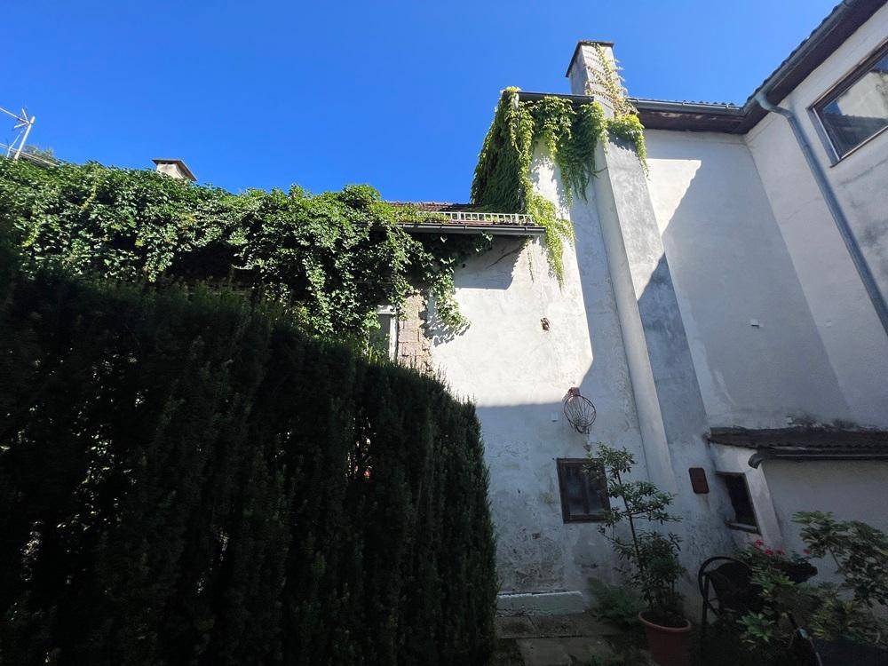 Rückseite des Gebäudes mit Schornstein, Efeu und einer hohen Hecke im Vordergrund.