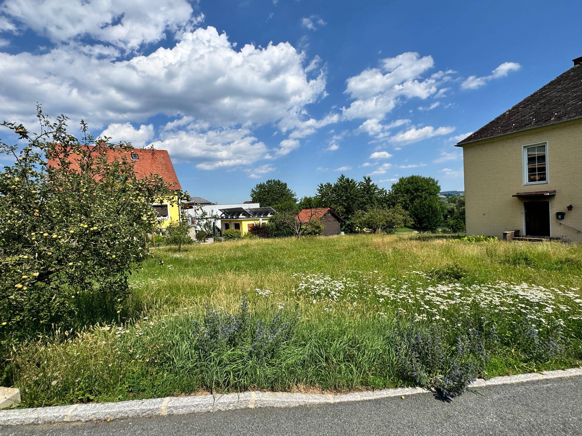 Sonniges Grundstück mit hohem Gras und Blick auf umliegende Häuser und grüne Hügel.