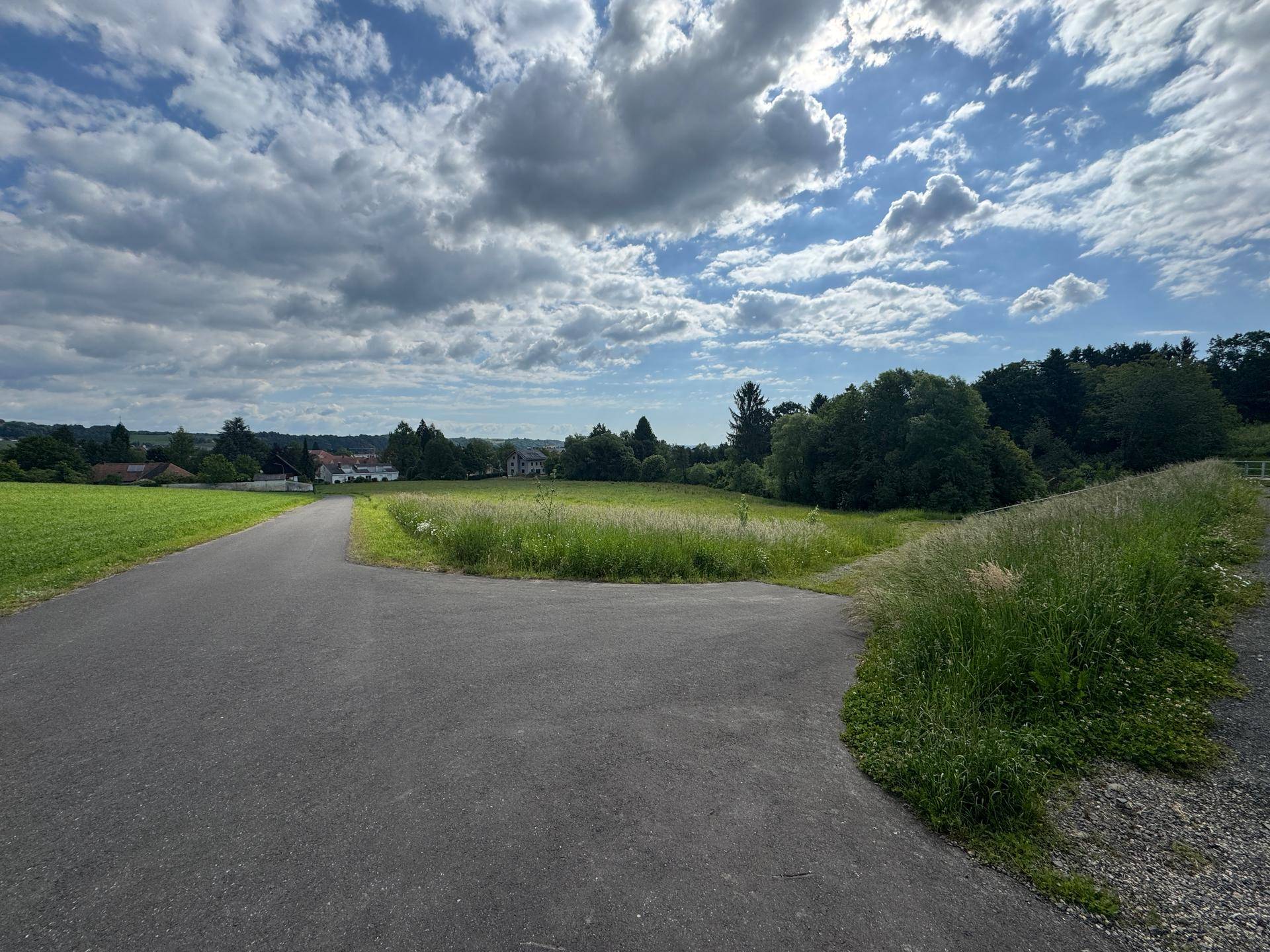 Geteilter asphaltierter Weg durch eine grüne Landschaft mit Häusern in der Ferne unter Wolken.