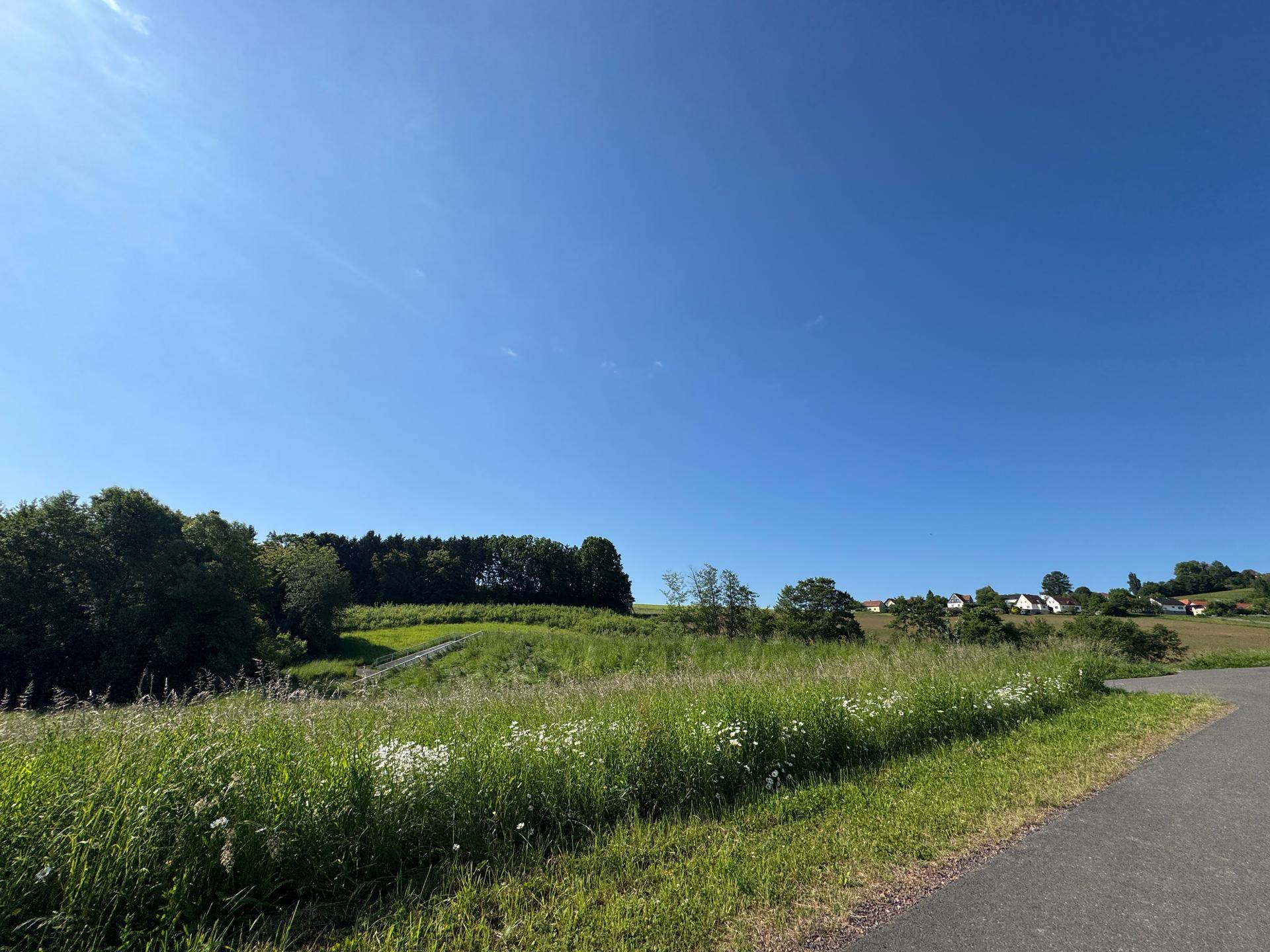 Weitläufige grüne Landschaft mit einem Feldweg und Häusern am Horizont unter blauem Himmel.