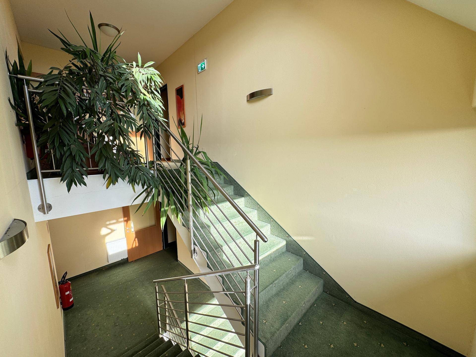 Treppenhaus mit Teppichboden, Metallgeländer und Pflanzen.